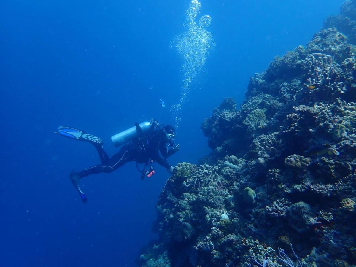 Love'S Beach & Dive Resort Moalboal Eksteriør bilde