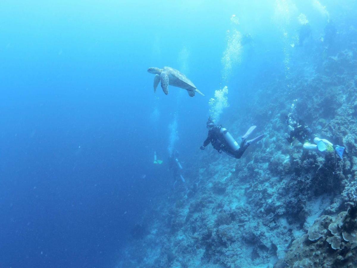 Love'S Beach & Dive Resort Moalboal Eksteriør bilde